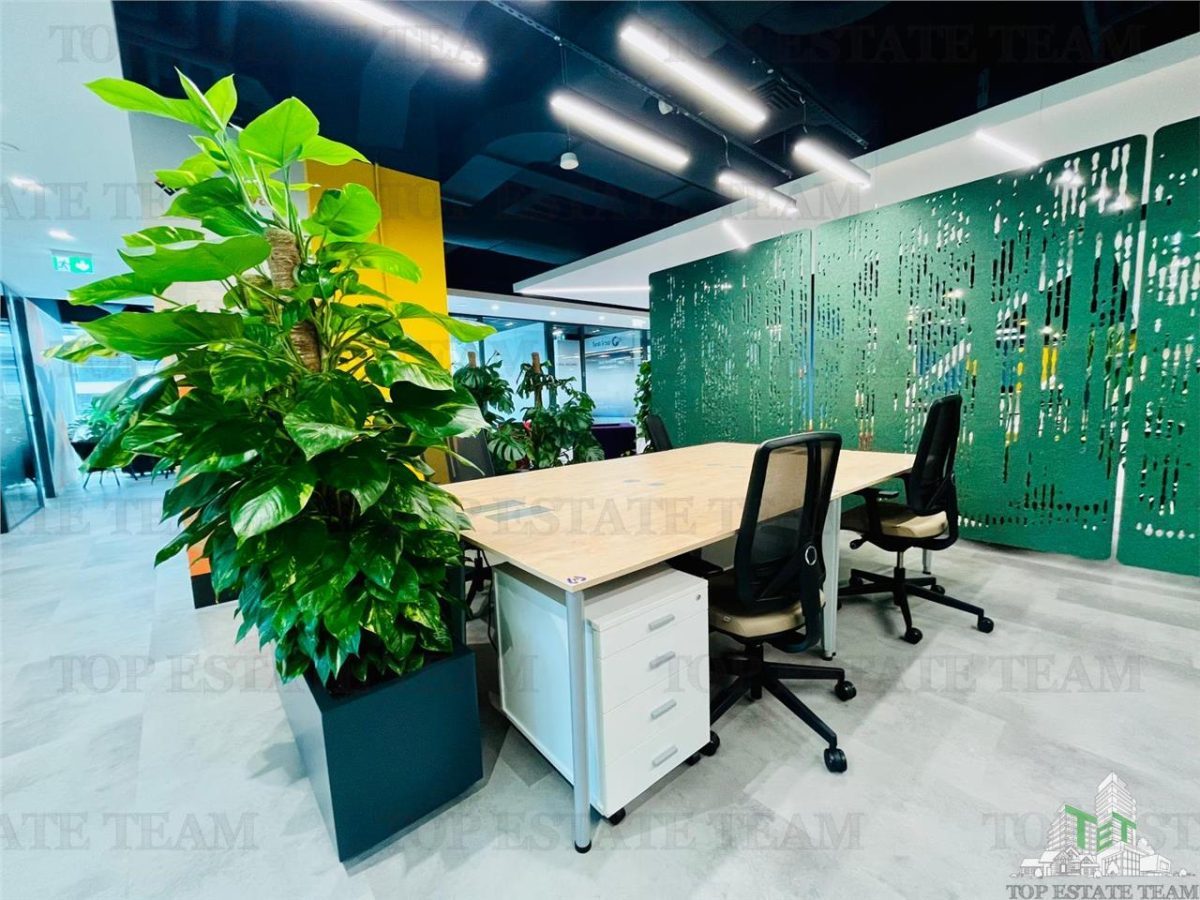 Spatiu de Birouri de 350 mp in Zona Pipera - foto 12