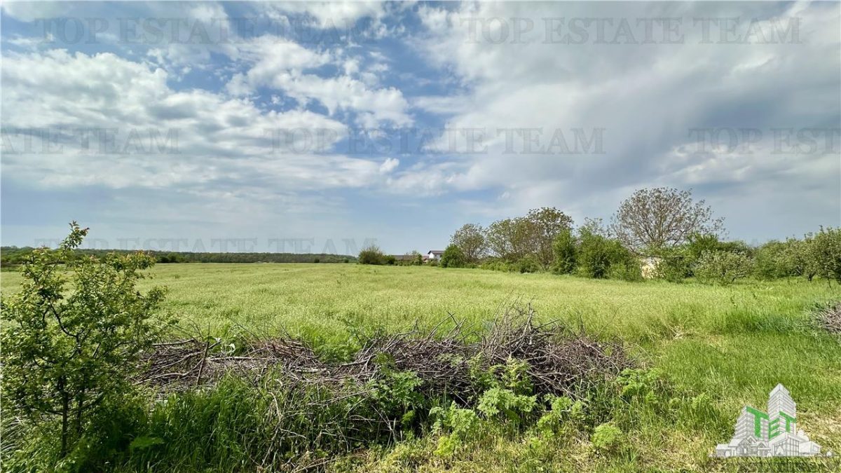 Teren intravilan de vanzare Comuna Ganeasa - foto 2