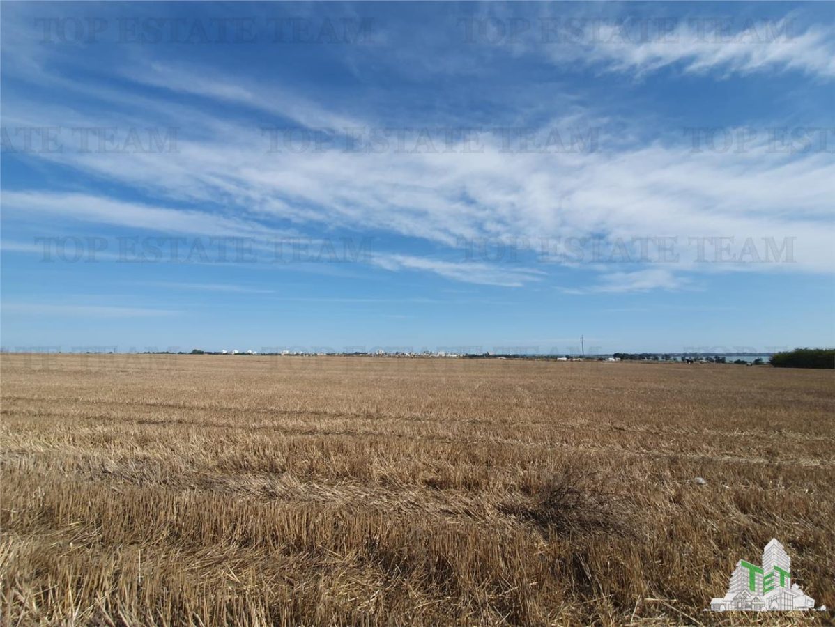 Teren Techirghiol - foto 6