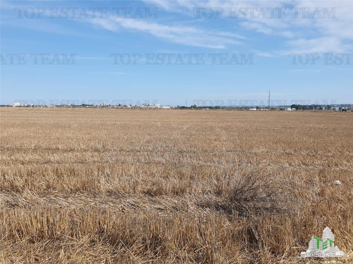 Teren Techirghiol - foto 7