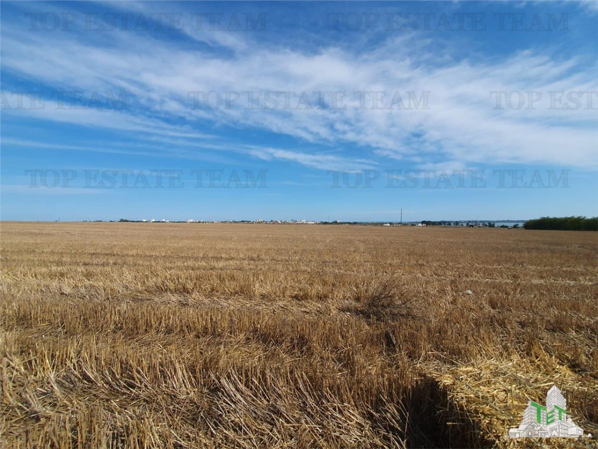 Teren Techirghiol - foto 8