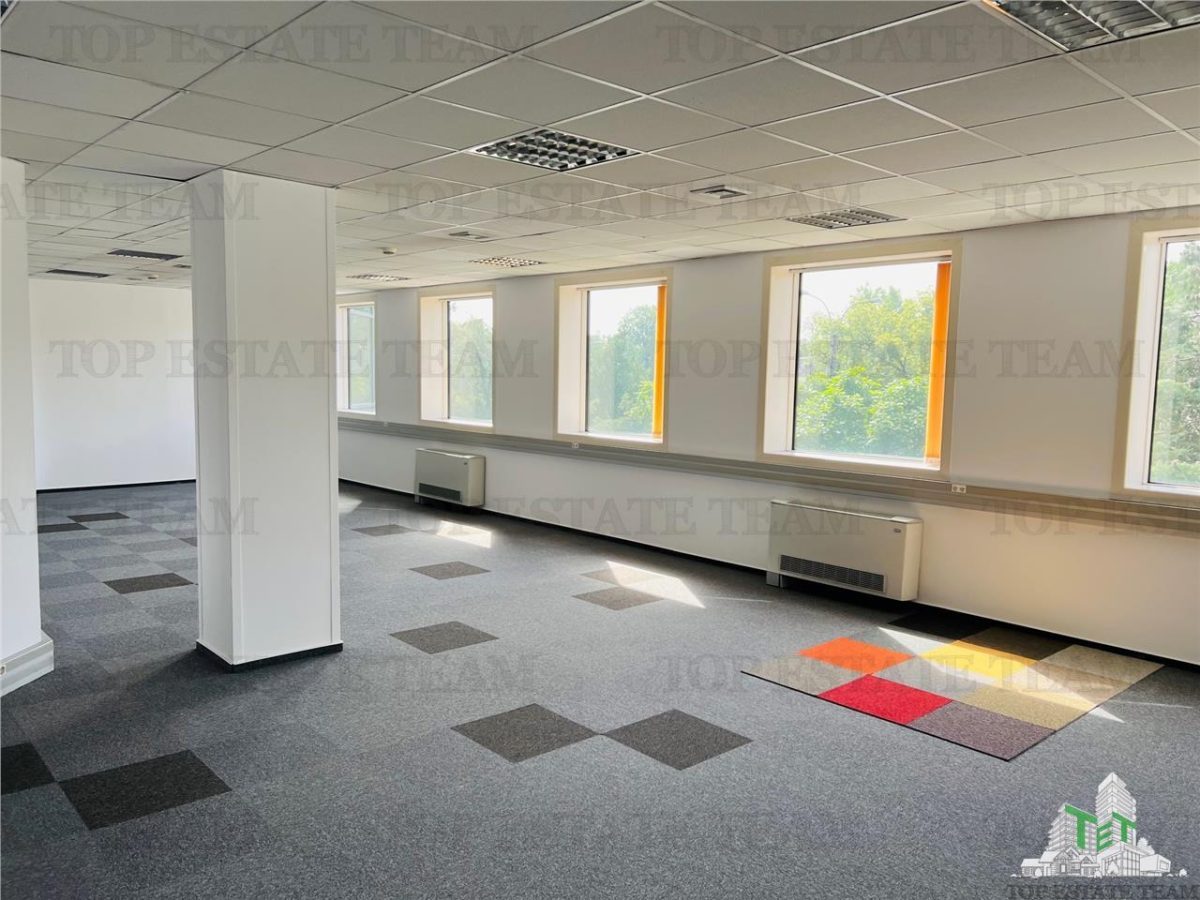 Spatiu de Birouri de 600 mp in Zona Piata Presei Libere - World Trade Center Bucuresti - foto 5