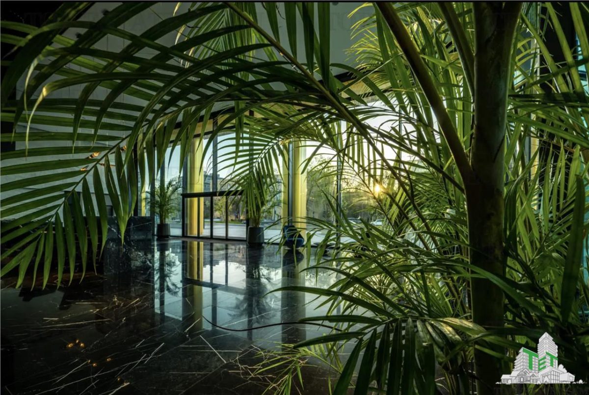 Spatiu de Birouri de 600 mp in One Tower Zona Floreasca - foto 3