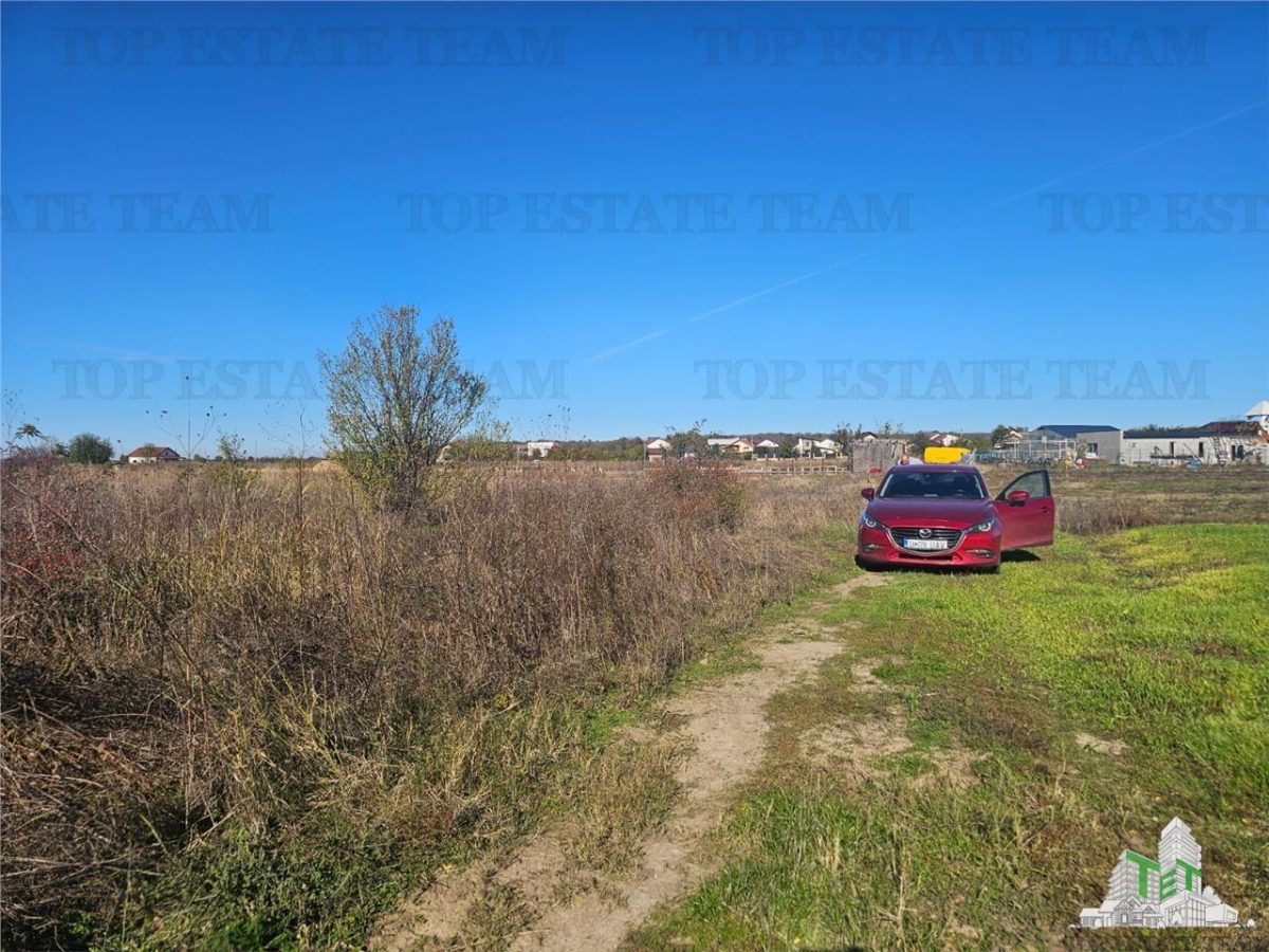 SUPER-PRET Teren 5000mp langa case in Sabareni - 