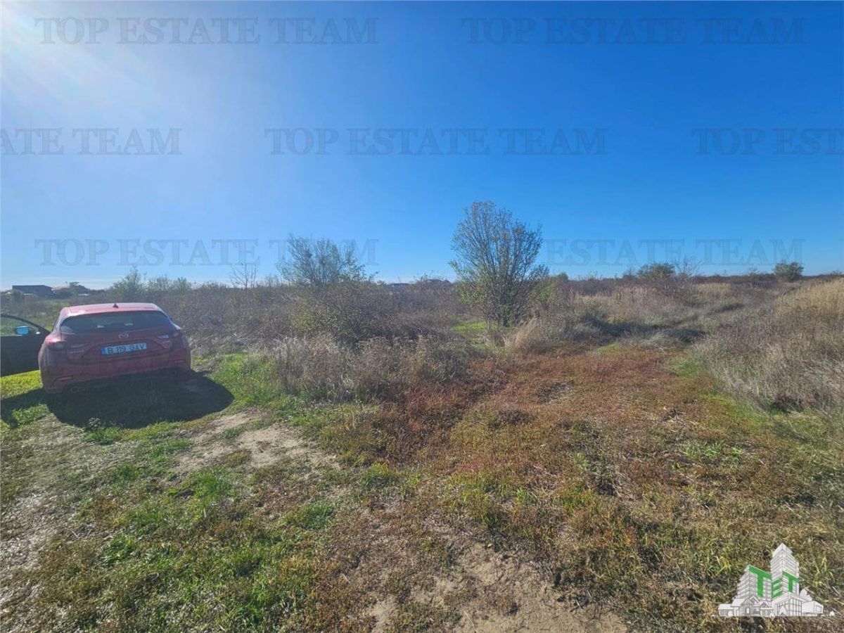 SUPER-PRET Teren 5000mp langa case in Sabareni - foto 4