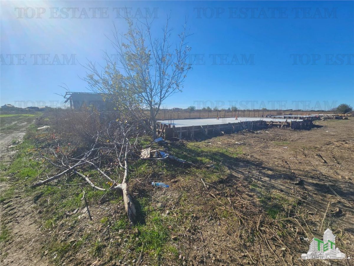 SUPER-PRET Teren 5000mp langa case in Sabareni - foto 5