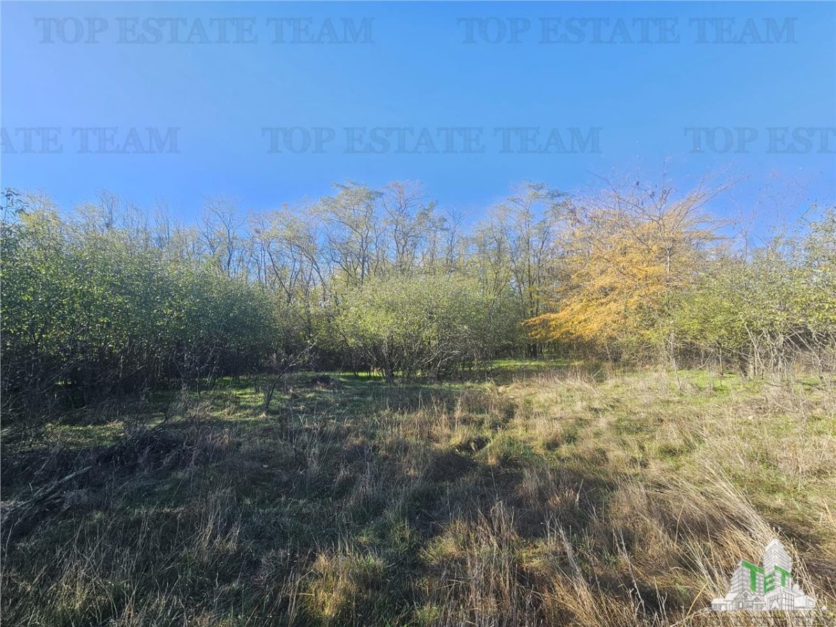 SUPER-PRET Teren 1ha intravilan intre A0, padure si raul Sabar - 