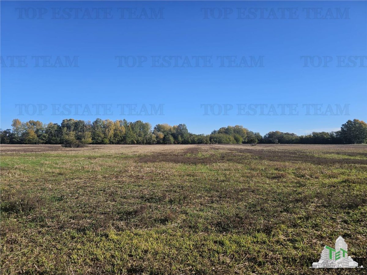 SUPER-PRET Teren 1ha intravilan intre A0, padure si raul Sabar - foto 2