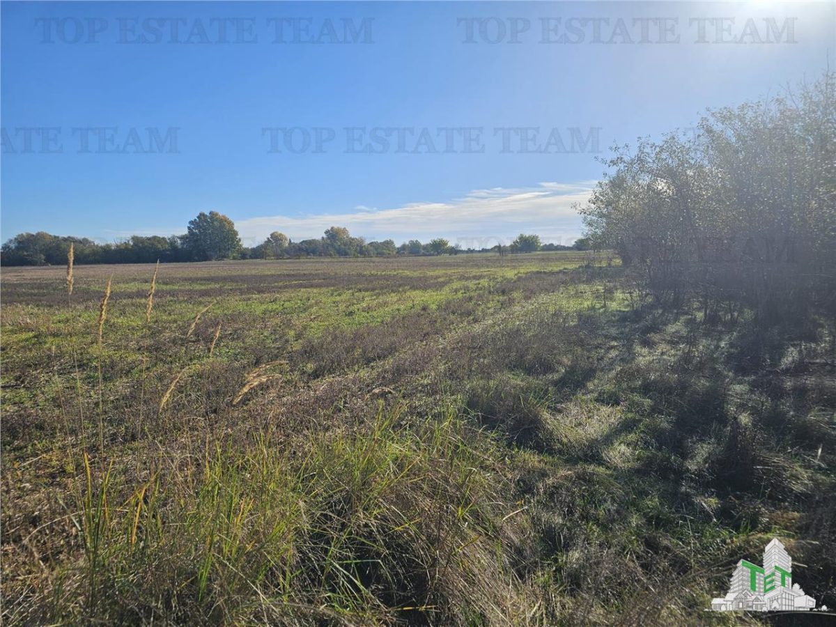 SUPER-PRET Teren 1ha intravilan intre A0, padure si raul Sabar - foto 3