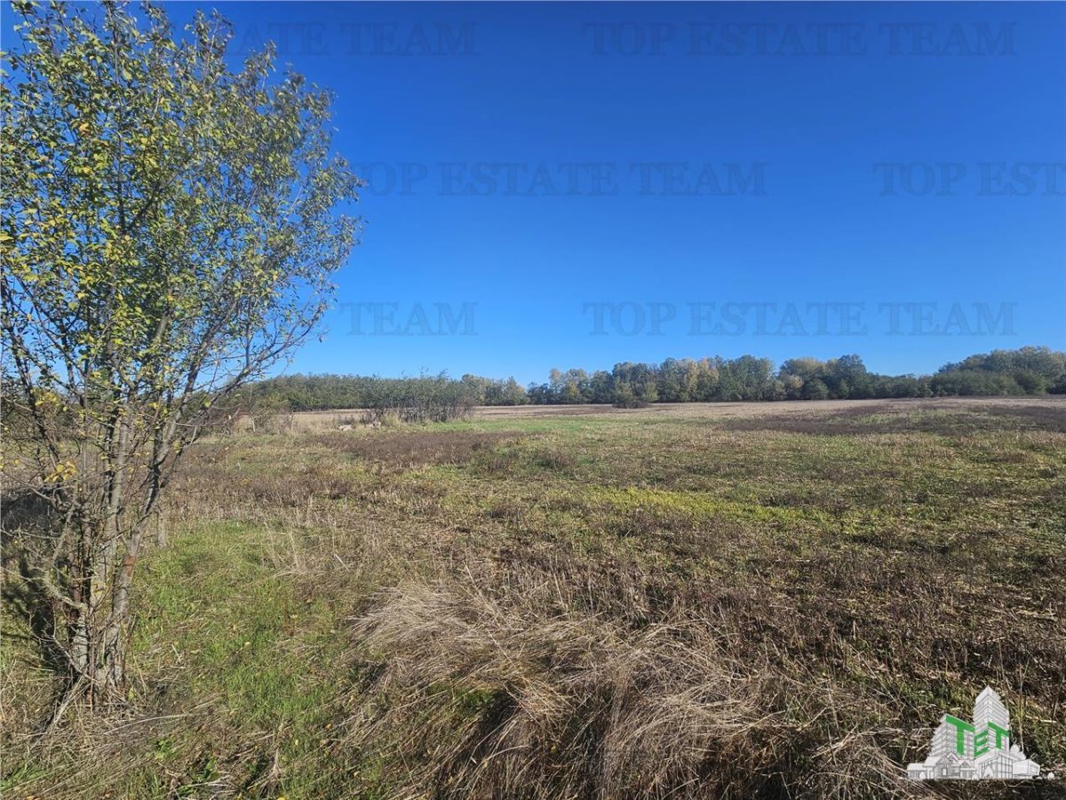 SUPER-PRET Teren 1ha intravilan intre A0, padure si raul Sabar - foto 4