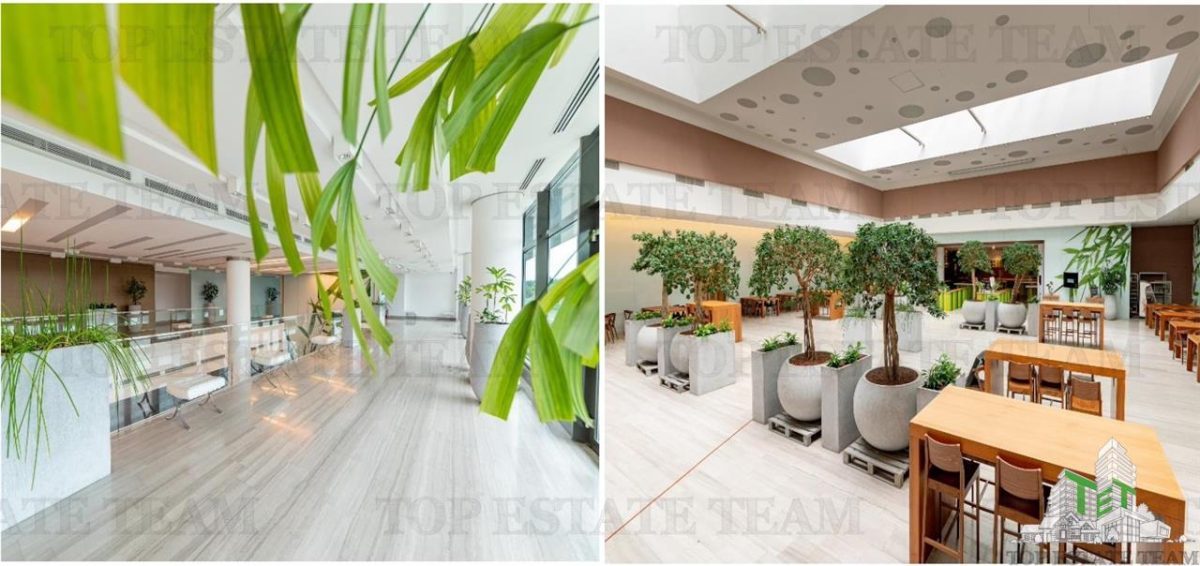 Spatiu de Birouri de 494 mp in Zona Baneasa - Bucuresti