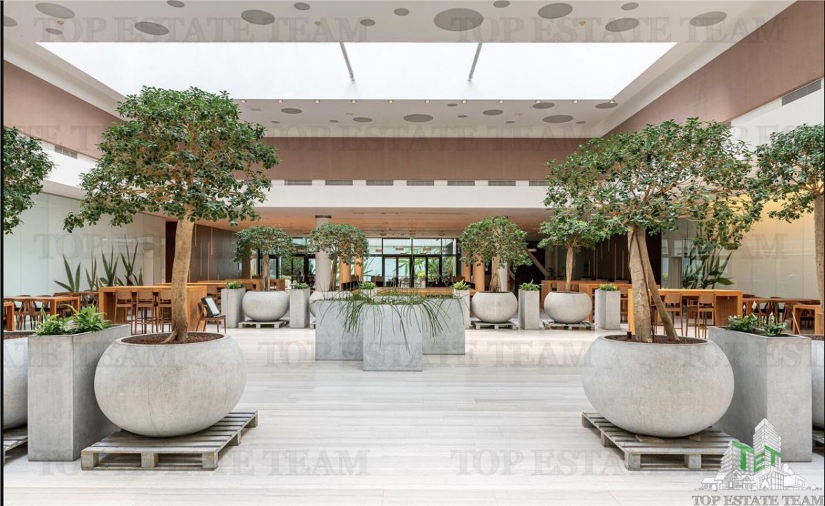 Spatiu de Birouri de 494 mp in Zona Baneasa - foto 13