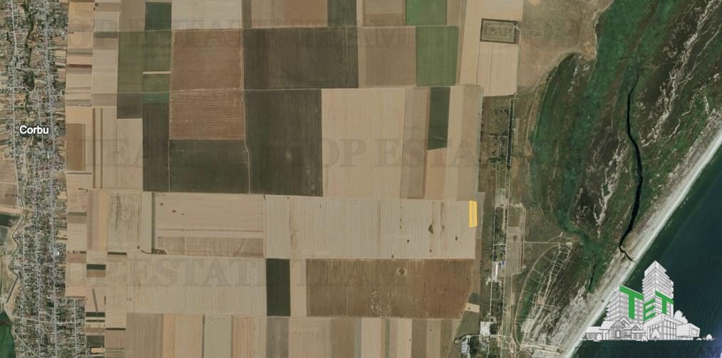Teren extravilan 5000 mp Corbu, cu deschidere pe 3 laturi - foto 6