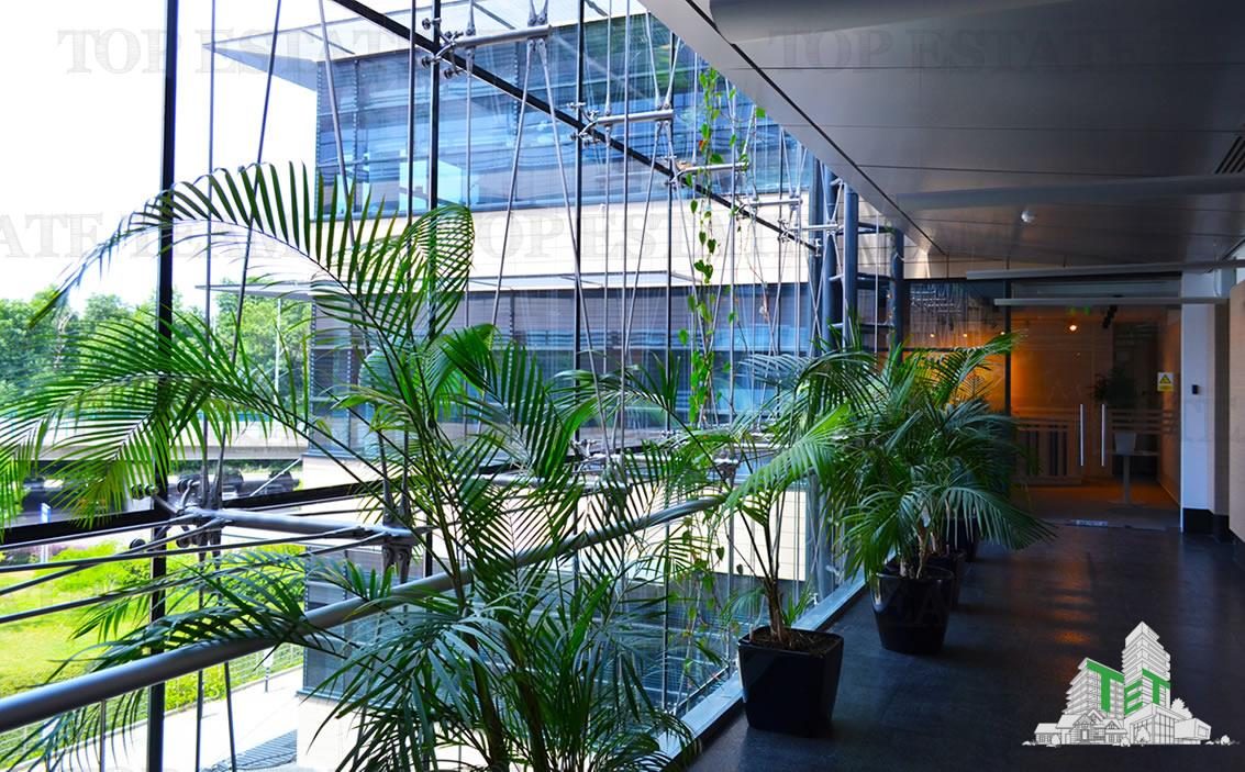 Spatiu de Birouri de 543 mp in Zona Baneasa - Bucuresti