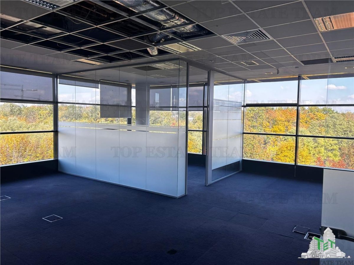 Spatiu de Birouri de 543 mp in Zona Baneasa - foto 13
