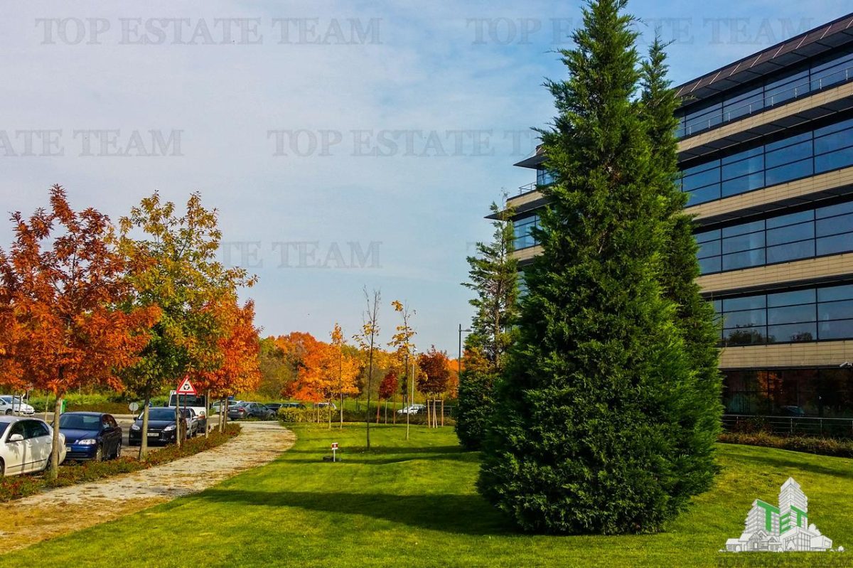 Spatiu de Birouri de 543 mp in Zona Baneasa - foto 3