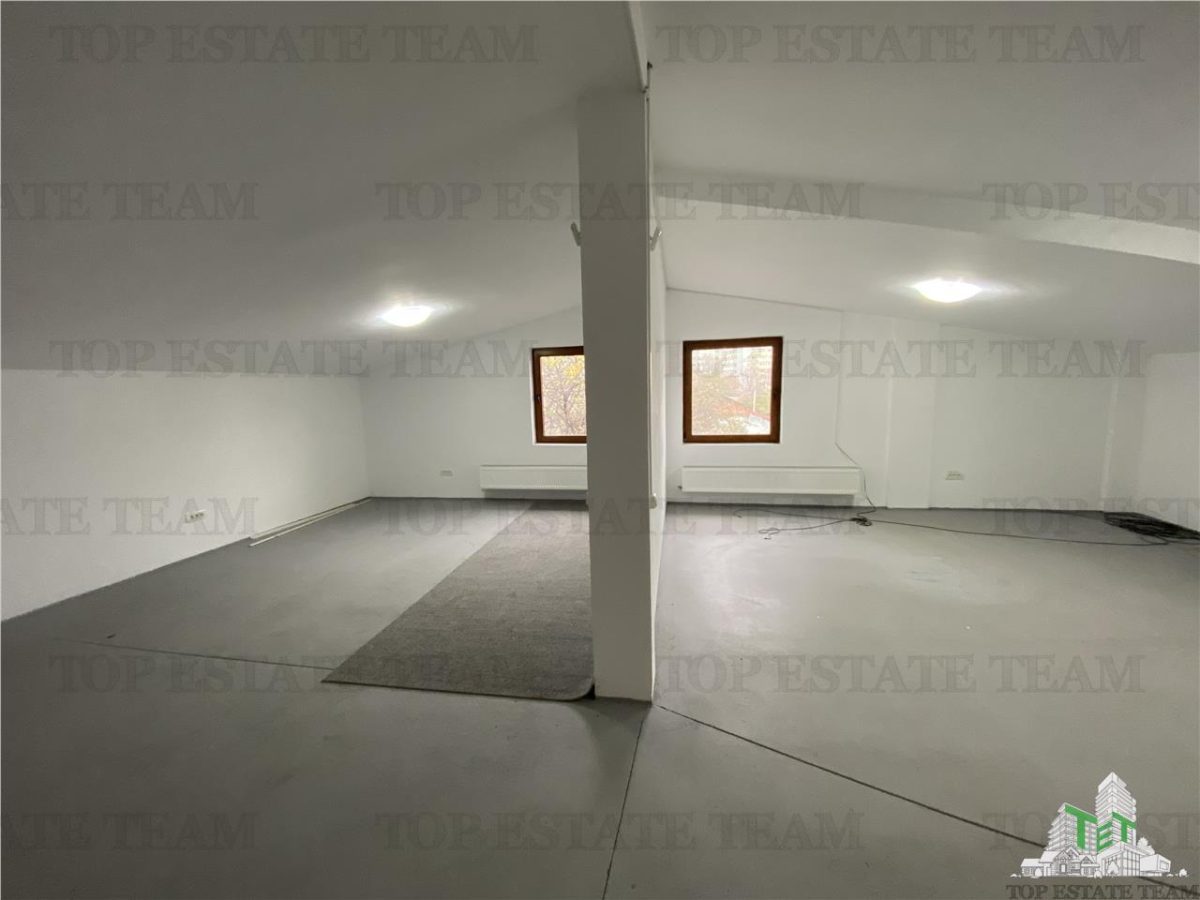 Spatiu comercial, birouri, depozitare de inchiriat in Doamna Ghica - foto 11