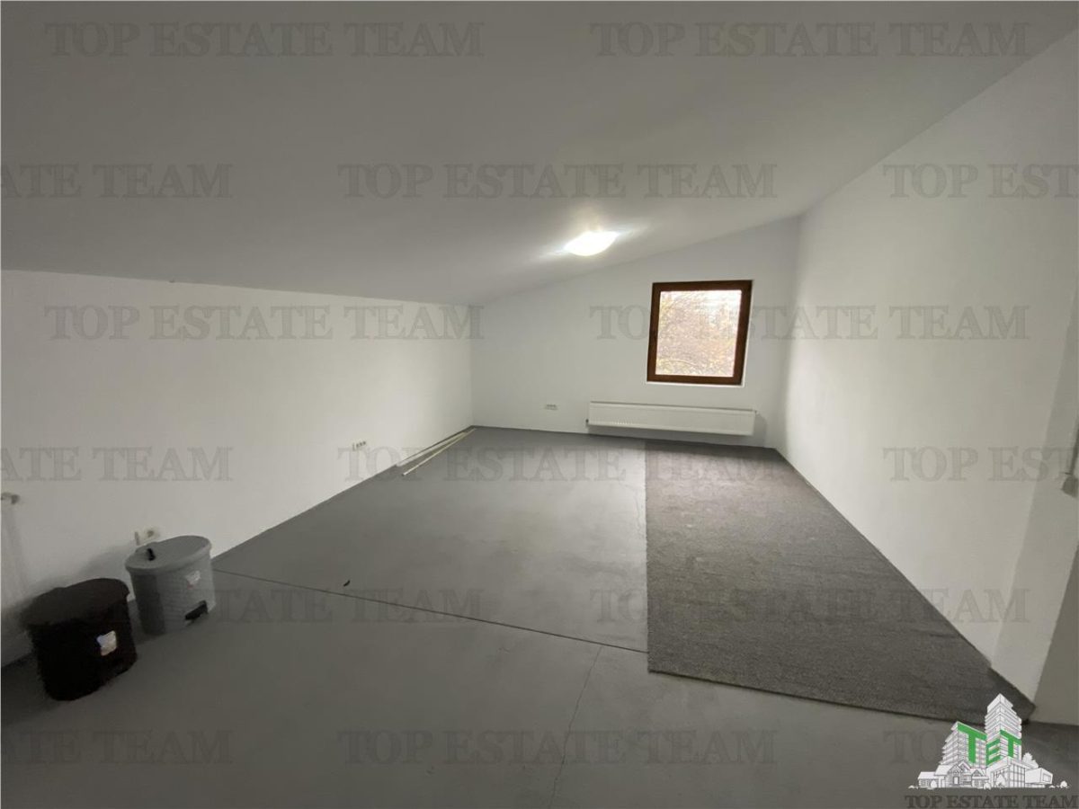 Spatiu comercial, birouri, depozitare de inchiriat in Doamna Ghica - foto 12