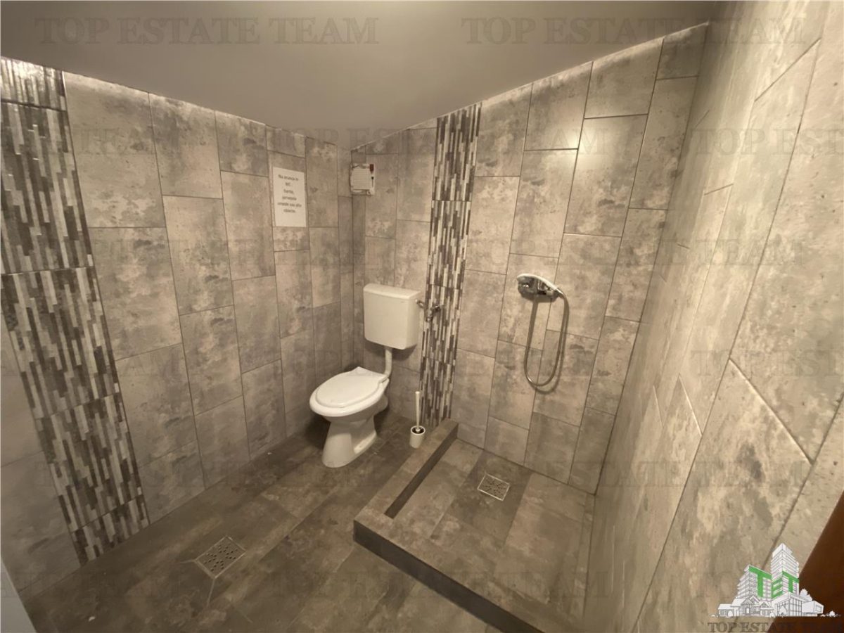 Spatiu comercial, birouri, depozitare de inchiriat in Doamna Ghica - foto 14