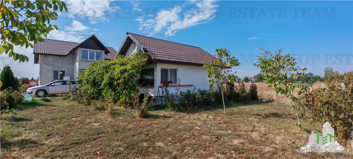 Ferma 3,3ha, din care 2,5ha intravilan, vila 7 camere, D+P+E+M, casa pentru muncitori, grajd animale, livada, culturi porumb si grau, PODISOR/GIURGIU - foto 2