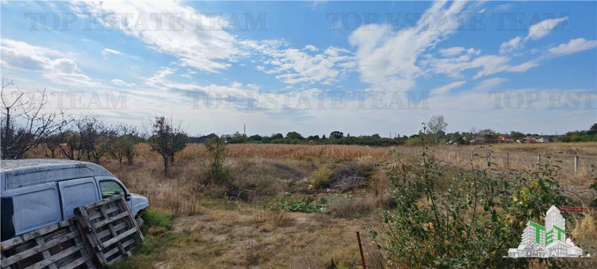 Ferma 3,3ha, din care 2,5ha intravilan, vila 7 camere, D+P+E+M, casa pentru muncitori, grajd animale, livada, culturi porumb si grau, PODISOR/GIURGIU - foto 11