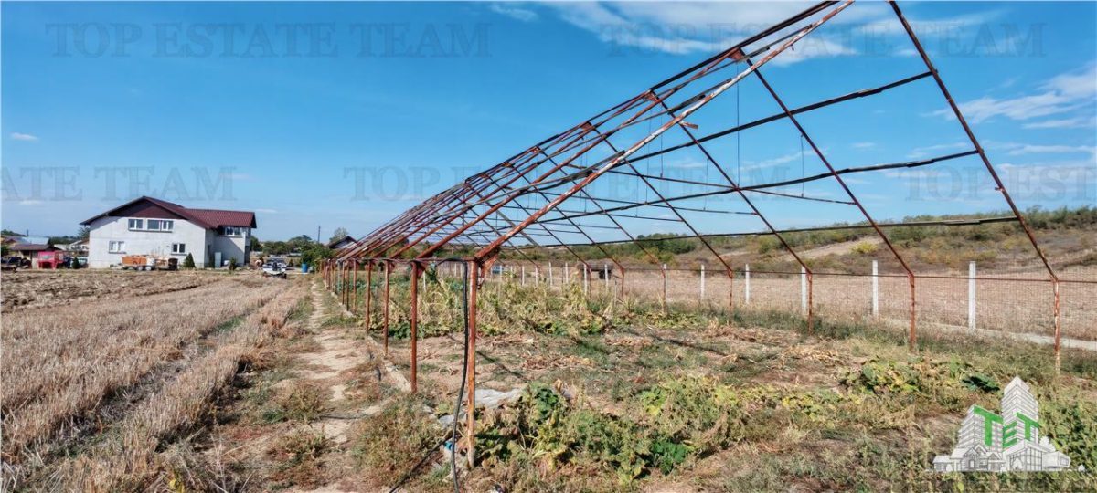 Ferma 3,3ha, din care 2,5ha intravilan, vila 7 camere, D+P+E+M, casa pentru muncitori, grajd animale, livada, culturi porumb si grau, PODISOR/GIURGIU - foto 13