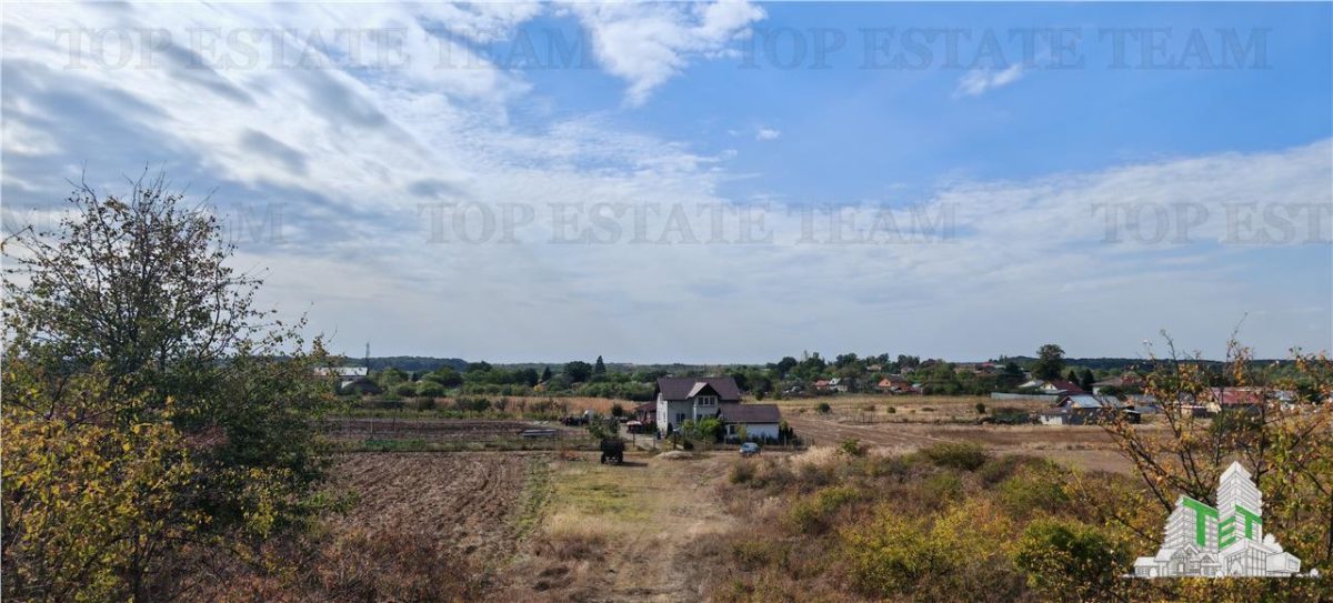 Ferma 3,3ha, din care 2,5ha intravilan, vila 7 camere, D+P+E+M, casa pentru muncitori, grajd animale, livada, culturi porumb si grau, PODISOR/GIURGIU - foto 15