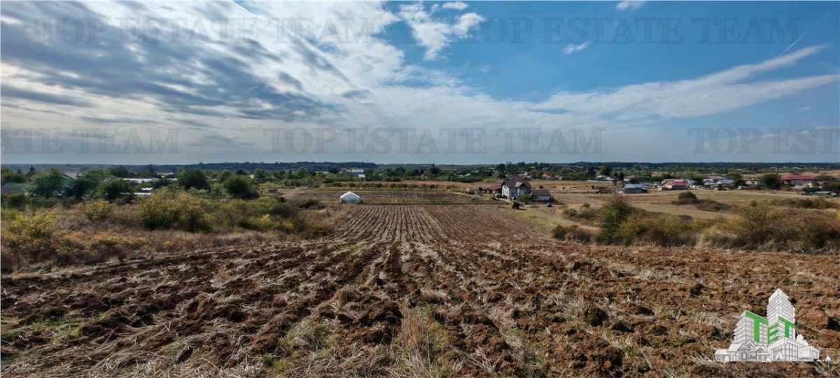 Ferma 3,3ha, din care 2,5ha intravilan, vila 7 camere, D+P+E+M, casa pentru muncitori, grajd animale, livada, culturi porumb si grau, PODISOR/GIURGIU - foto 16