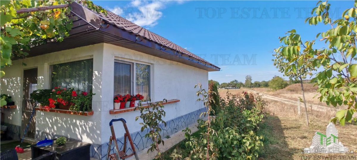 Ferma 3,3ha, din care 2,5ha intravilan, vila 7 camere, D+P+E+M, casa pentru muncitori, grajd animale, livada, culturi porumb si grau, PODISOR/GIURGIU - foto 17