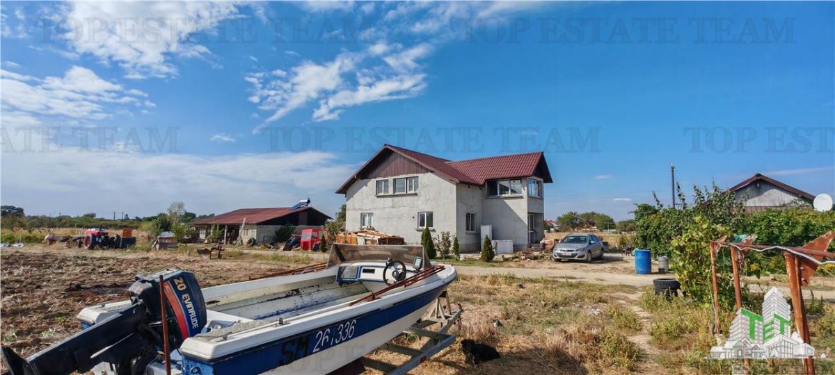 Ferma 3,3ha, din care 2,5ha intravilan, vila 7 camere, D+P+E+M, casa pentru muncitori, grajd animale, livada, culturi porumb si grau, PODISOR/GIURGIU - foto 3
