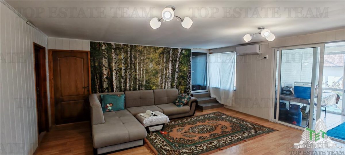 Ferma 3,3ha, din care 2,5ha intravilan, vila 7 camere, D+P+E+M, casa pentru muncitori, grajd animale, livada, culturi porumb si grau, PODISOR/GIURGIU - foto 23