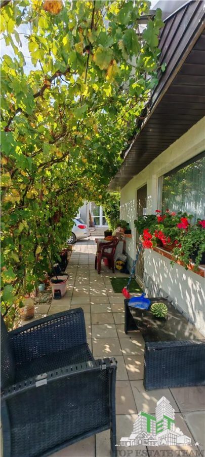 Ferma 3,3ha, din care 2,5ha intravilan, vila 7 camere, D+P+E+M, casa pentru muncitori, grajd animale, livada, culturi porumb si grau, PODISOR/GIURGIU - foto 4