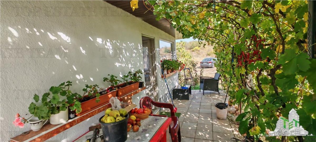 Ferma 3,3ha, din care 2,5ha intravilan, vila 7 camere, D+P+E+M, casa pentru muncitori, grajd animale, livada, culturi porumb si grau, PODISOR/GIURGIU - foto 5