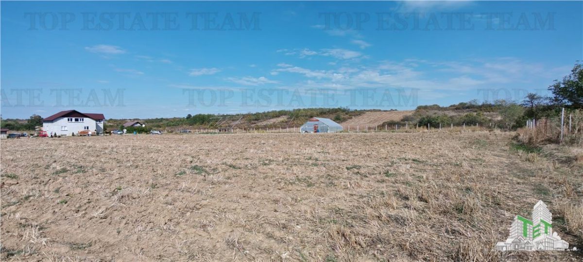 Ferma 3,3ha, din care 2,5ha intravilan, vila 7 camere, D+P+E+M, casa pentru muncitori, grajd animale, livada, culturi porumb si grau, PODISOR/GIURGIU - foto 6