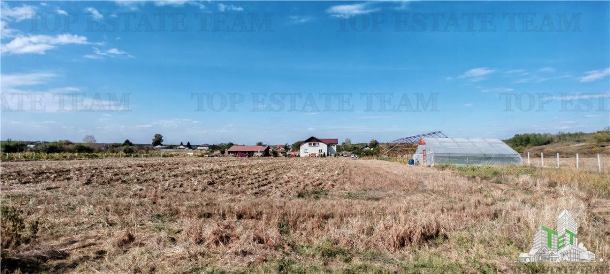Ferma 3,3ha, din care 2,5ha intravilan, vila 7 camere, D+P+E+M, casa pentru muncitori, grajd animale, livada, culturi porumb si grau, PODISOR/GIURGIU - foto 9
