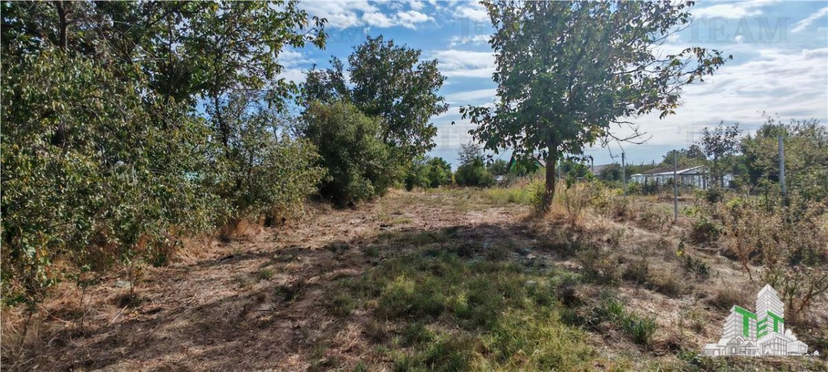 Ferma 3,3ha, din care 2,5ha intravilan, vila 7 camere, D+P+E+M, casa pentru muncitori, grajd animale, livada, culturi porumb si grau, PODISOR/GIURGIU - foto 10