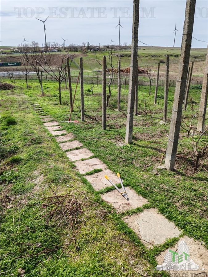 Colt de rai la tara  doua case primitoare livada vie si liniste deplina - foto 4