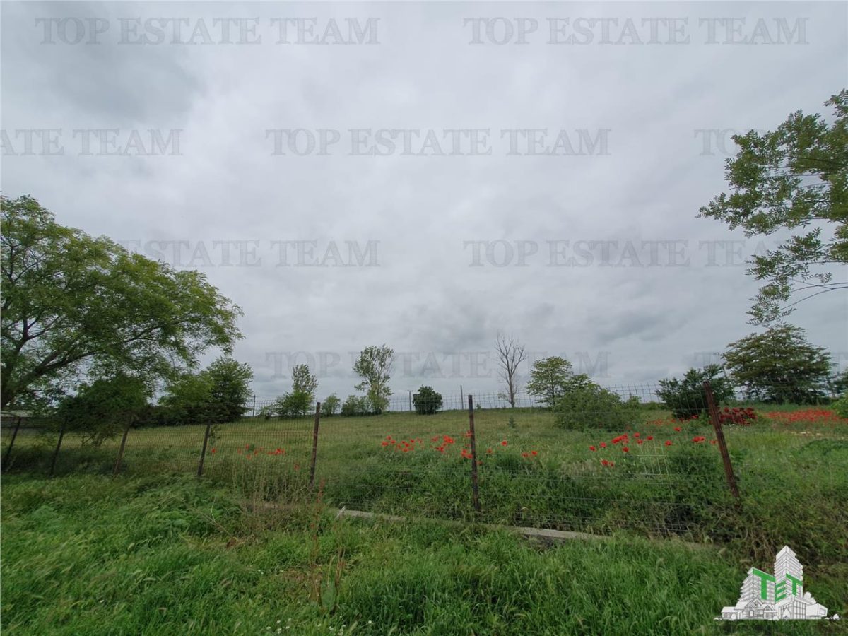 Casa superba cu teren generos Casicea Constanta - foto 17