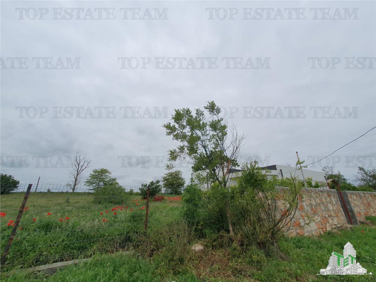 Casa superba cu teren generos Casicea Constanta - foto 19