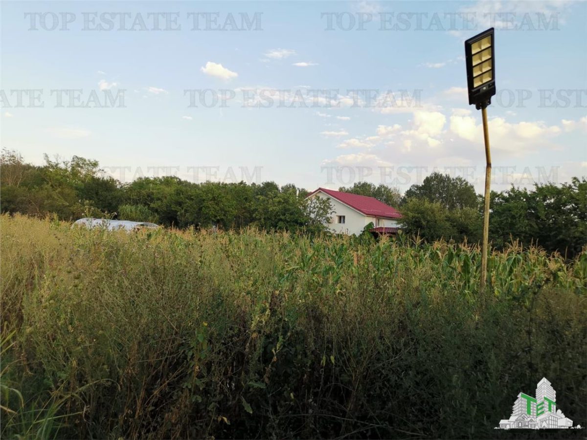 Adunatii Copaceni, teren 1212 mp, hala 136 mp, casa 37.5 mp cu pivnita 12 mp - 