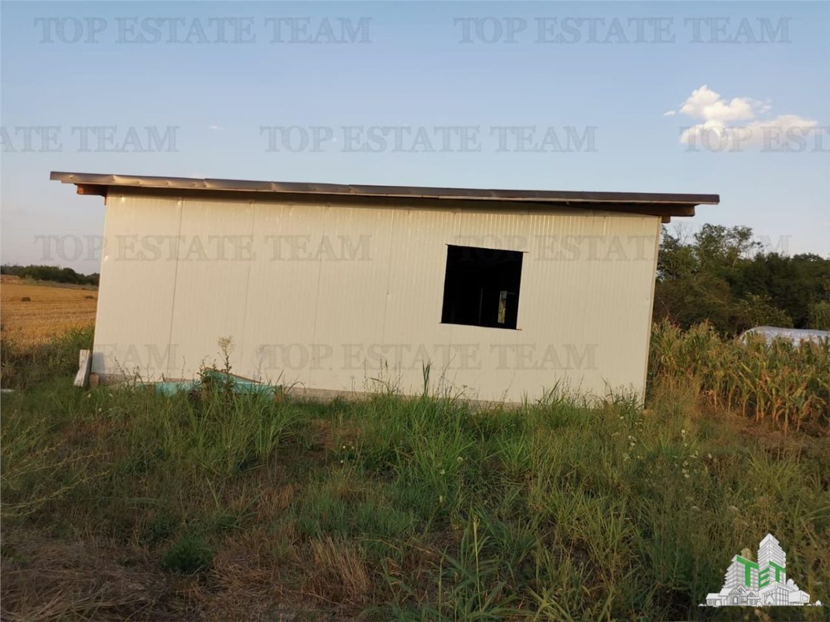 Adunatii Copaceni, teren 1212 mp, hala 136 mp, casa 37.5 mp cu pivnita 12 mp - foto 3