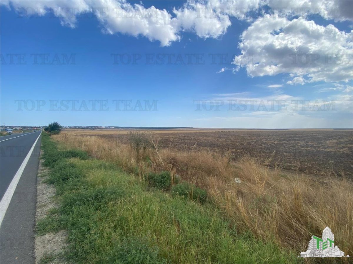 Teren extravilan in Mihail Kogalniceanu, Constanta - foto 2