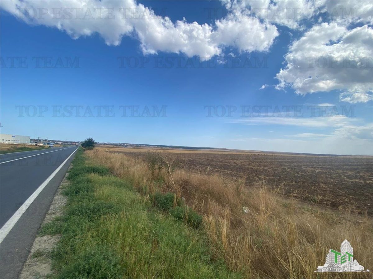 Teren extravilan in Mihail Kogalniceanu, Constanta - foto 3