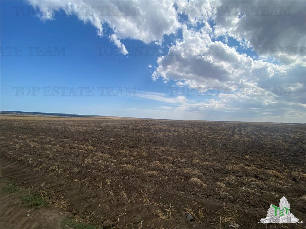 Teren extravilan in Mihail Kogalniceanu, Constanta - foto 4