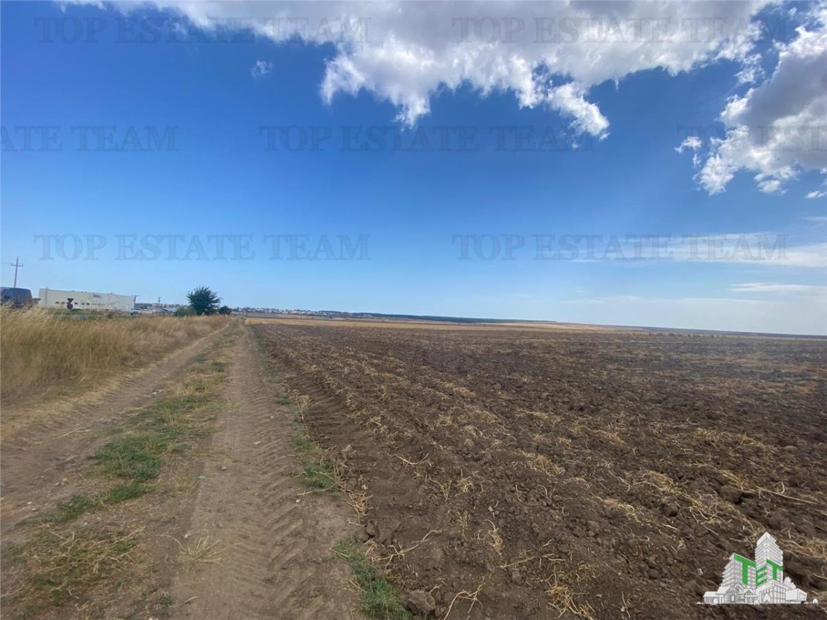 Teren extravilan in Mihail Kogalniceanu, Constanta - foto 5