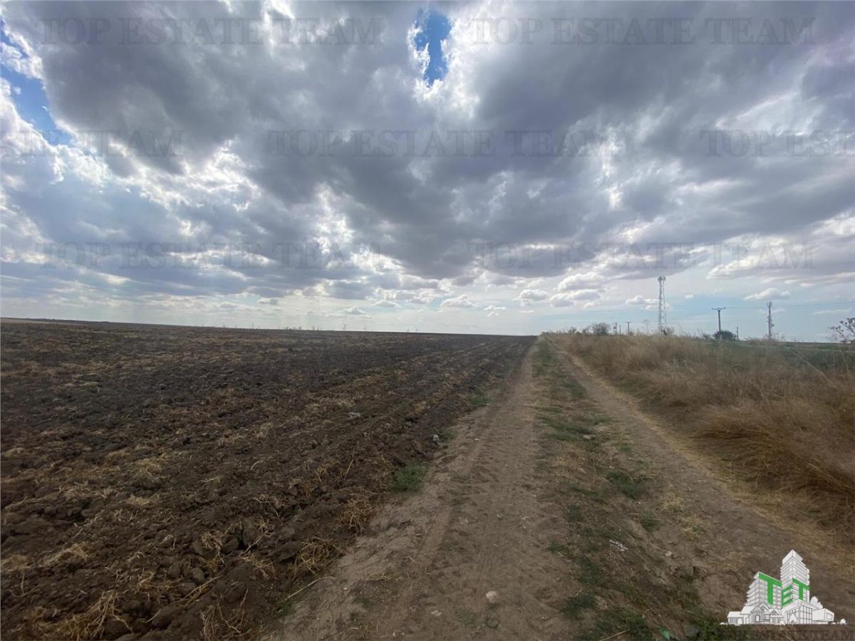 Teren extravilan in Mihail Kogalniceanu, Constanta - foto 6