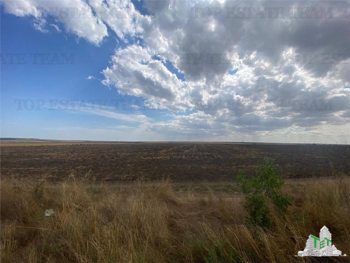 Teren extravilan in Mihail Kogalniceanu, Constanta - foto 7