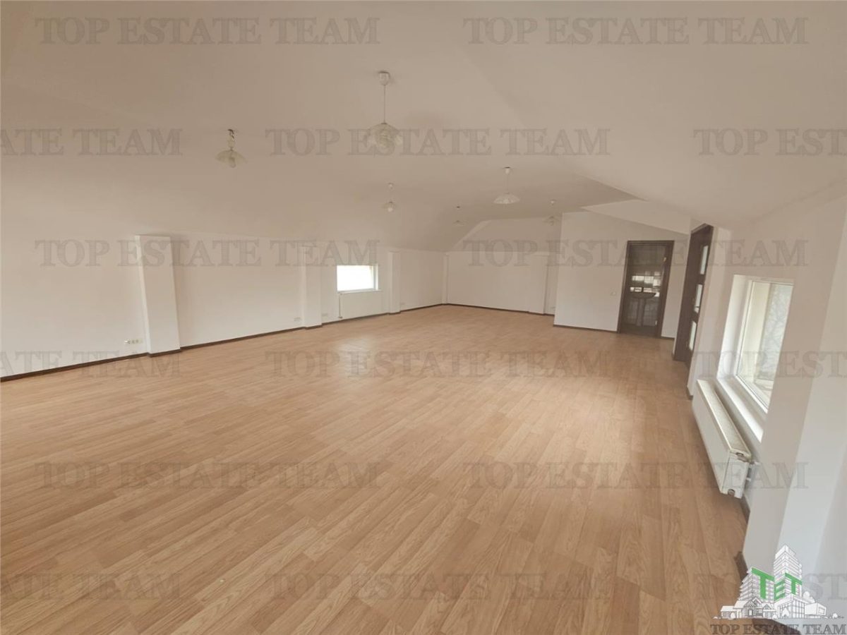 Cladire 9 incaperi (300mp utili) cu hala productie si depozit in Militari - foto 16