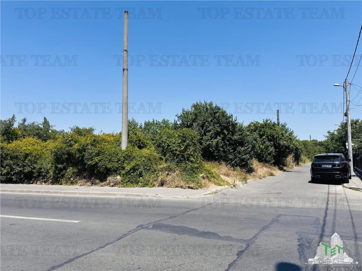 TEREN STRADAL GIULESTI, 50000 mp, la asfalt, intravilan, toate utilitatile, pentru INVESTITORI - foto 2