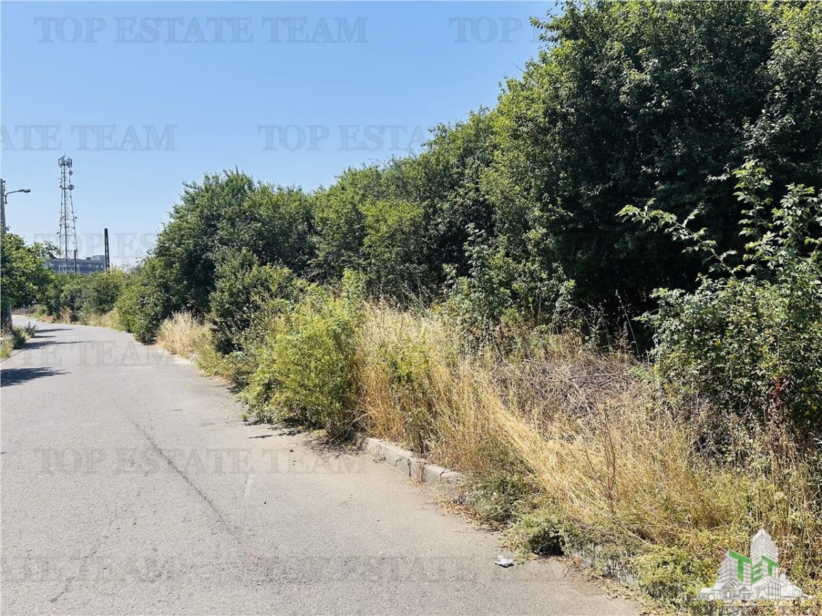 TEREN STRADAL GIULESTI, 50000 mp, la asfalt, intravilan, toate utilitatile, pentru INVESTITORI - foto 4